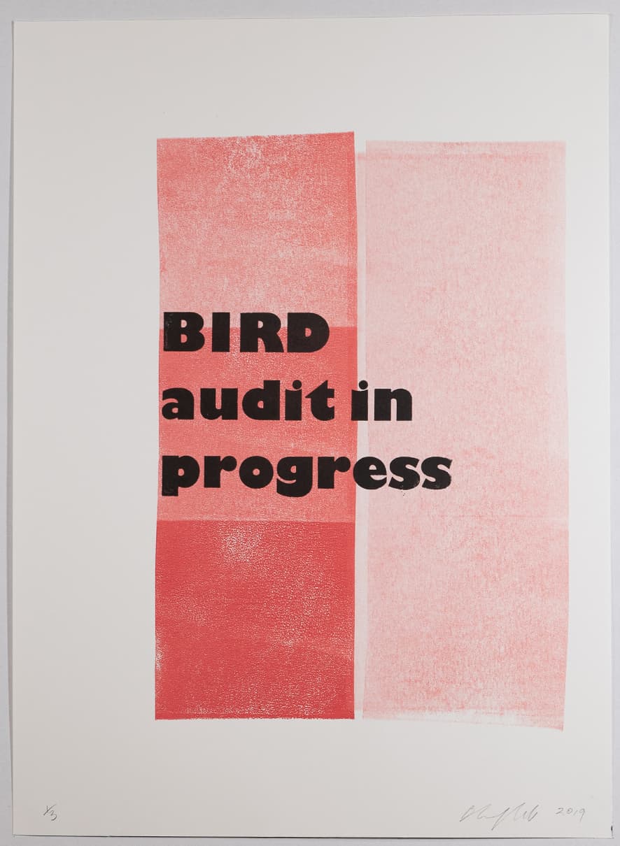 Bird audit in progress