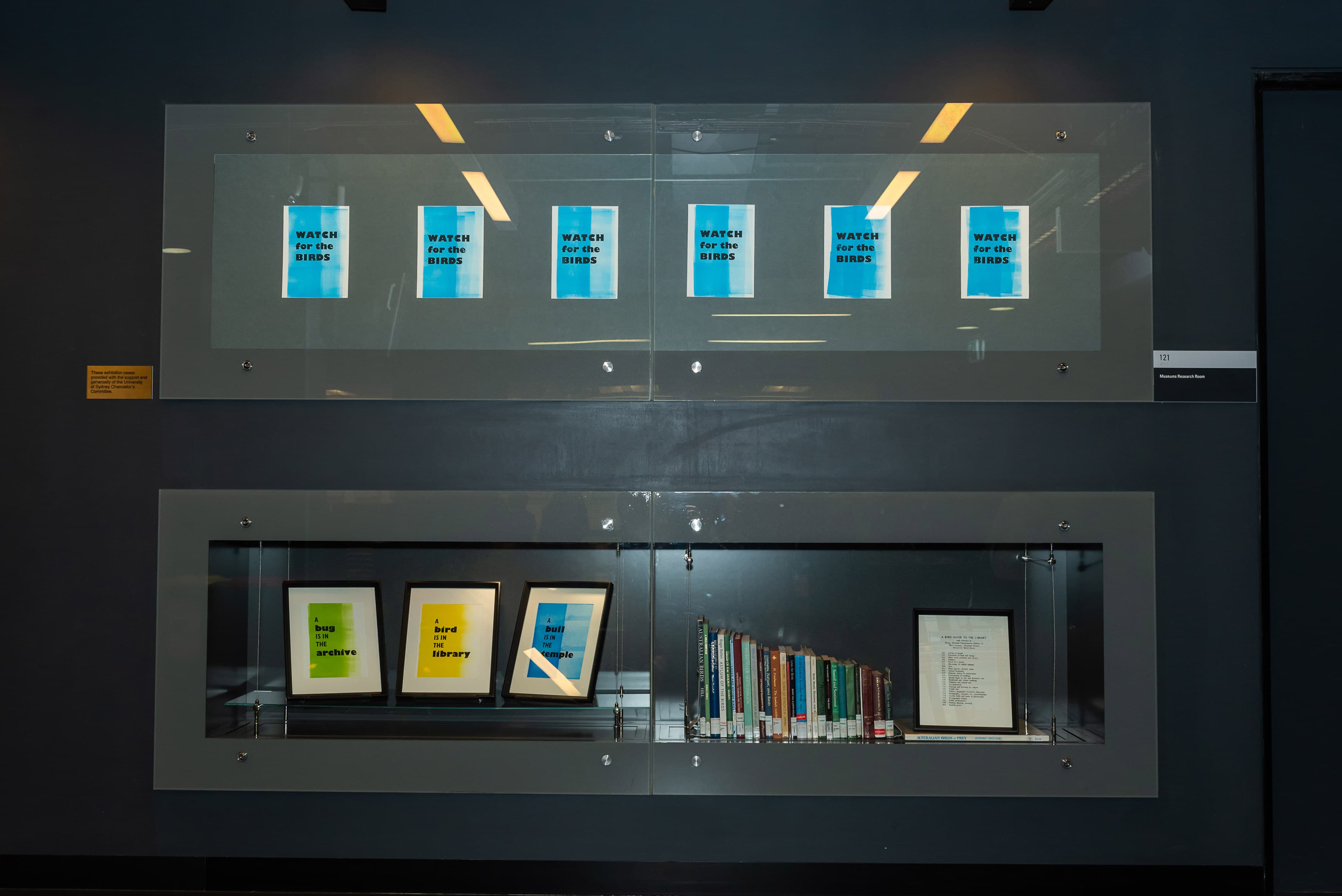 A bird is in the library