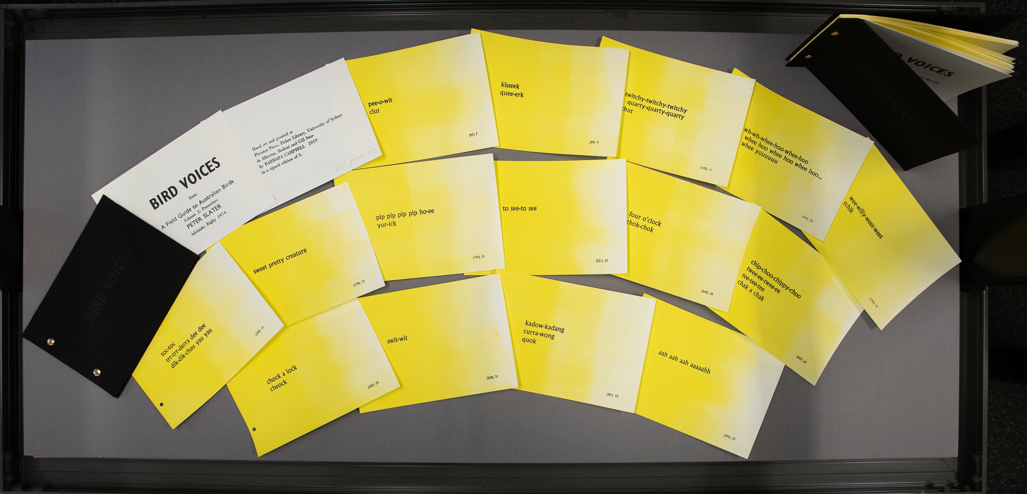 Bird voices (artist book)