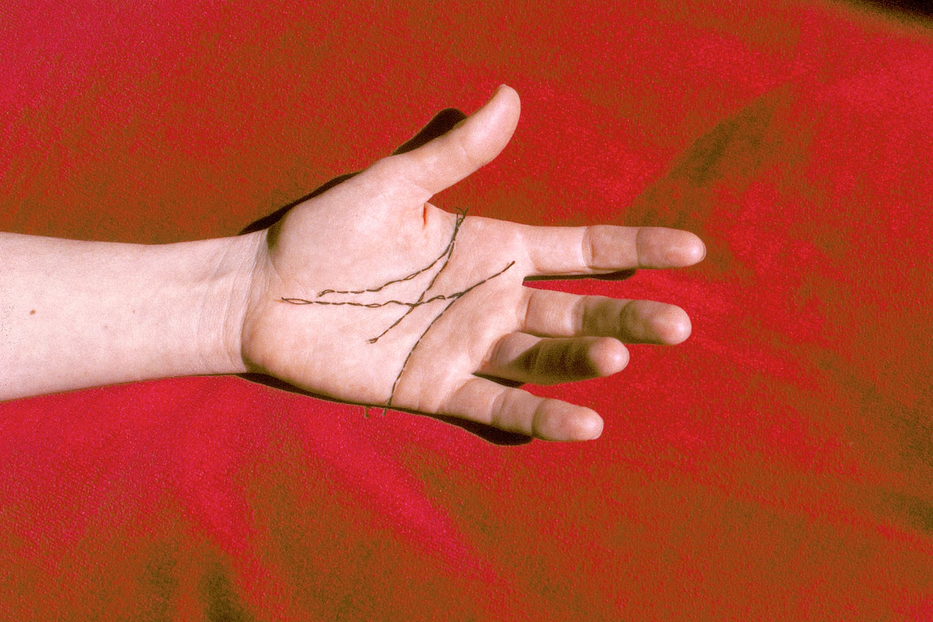 Cries from the Tower