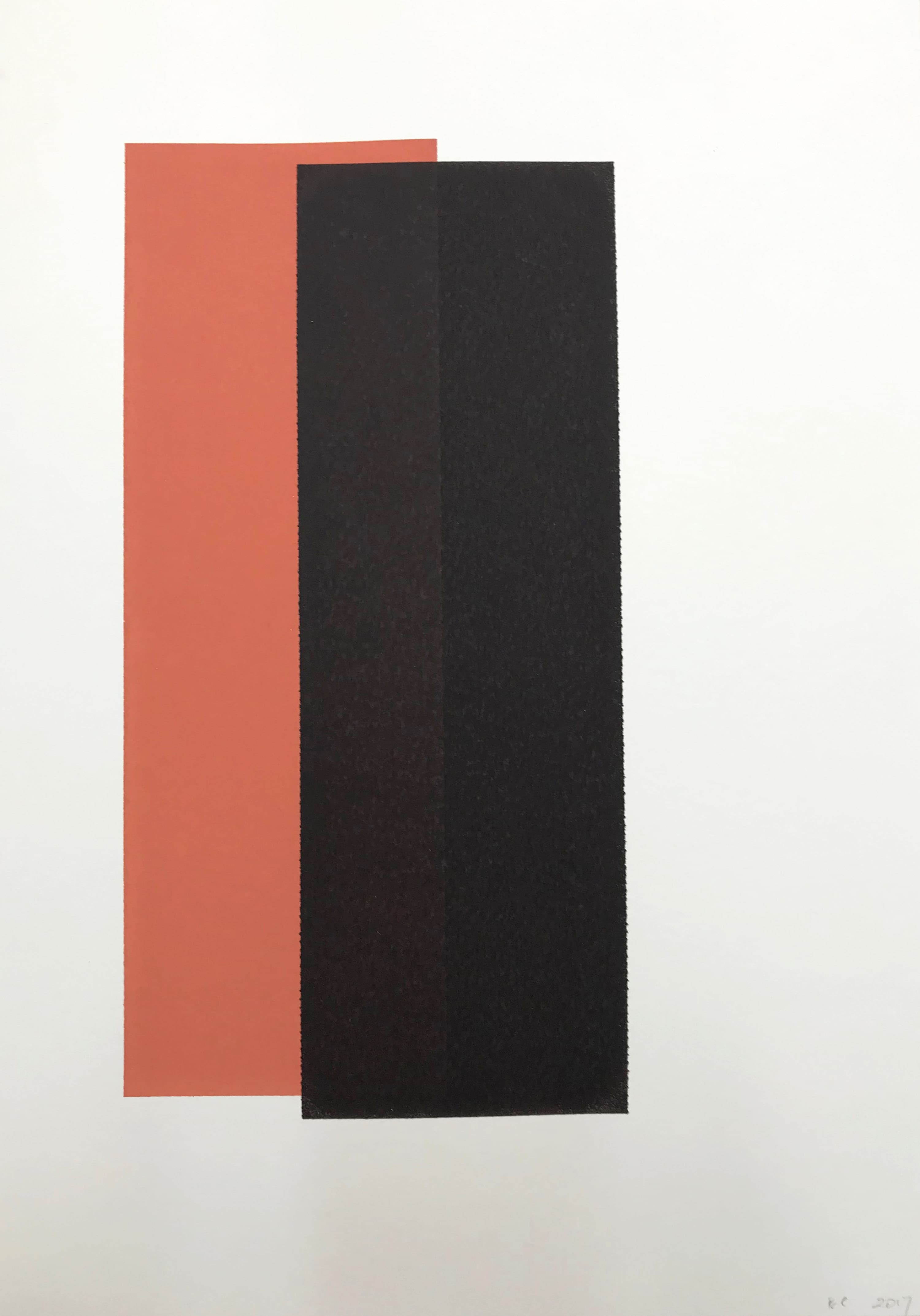 Departing Colours: Eastern Curlew 3