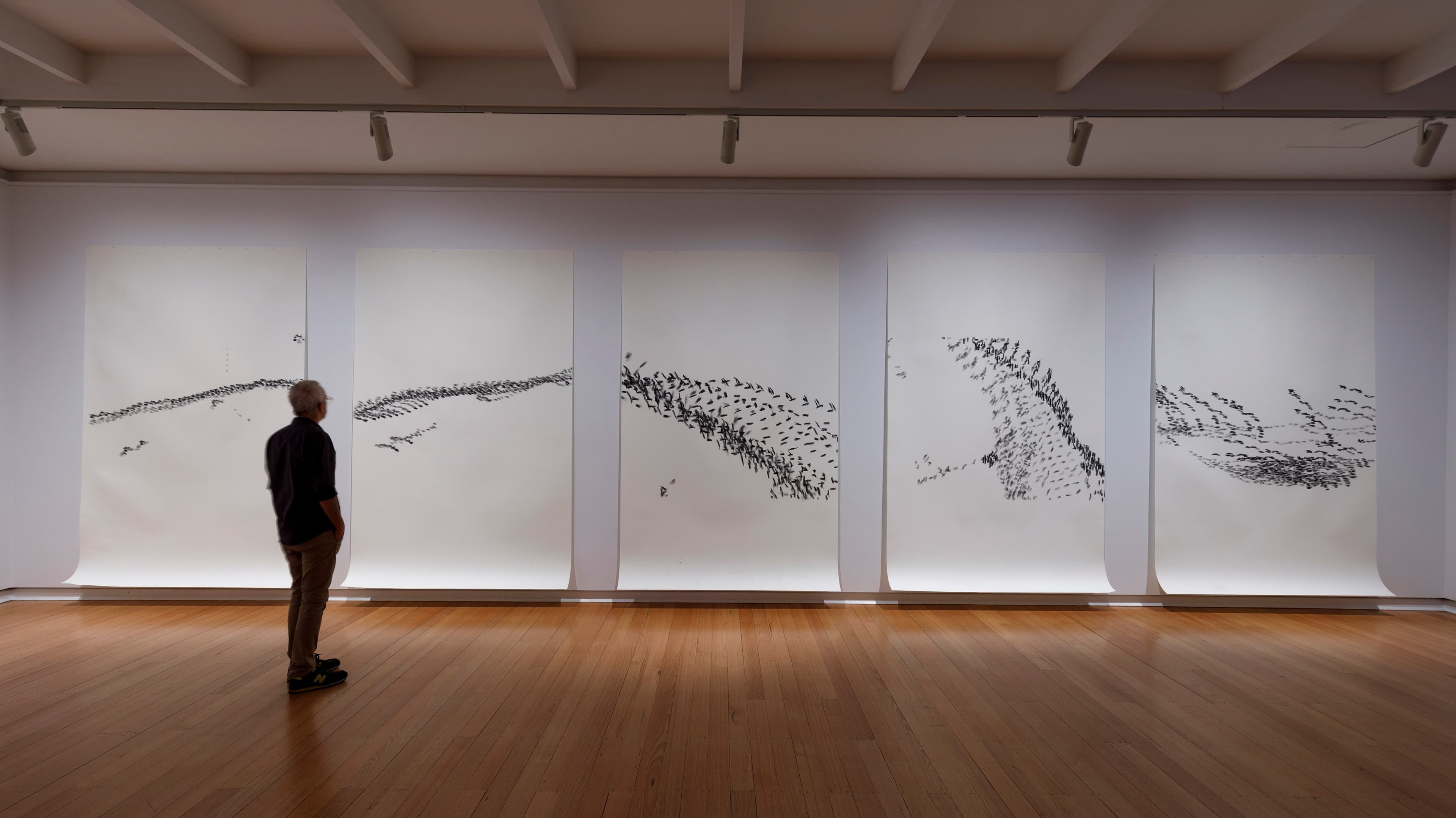 Barbara Campbell – ex avibus