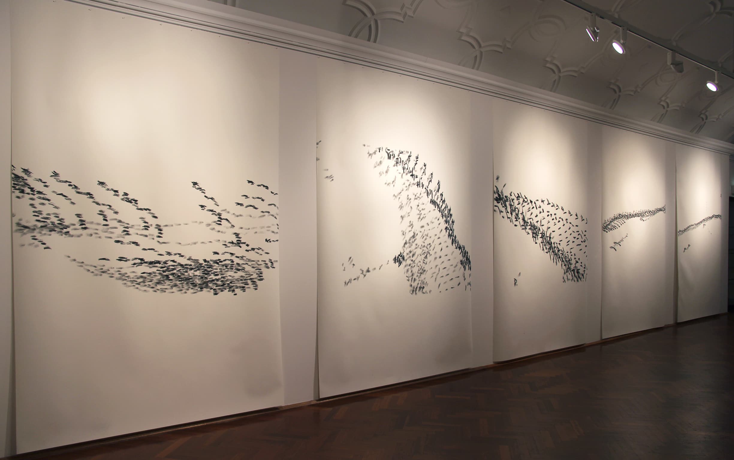 Barbara Campbell: ex avibus