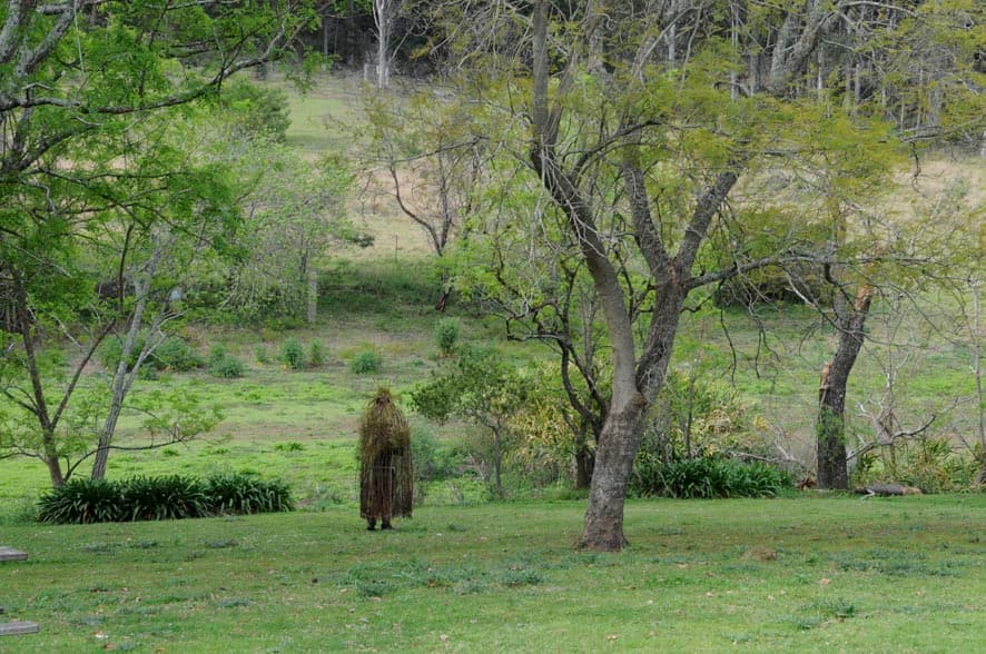 call, recall, respond