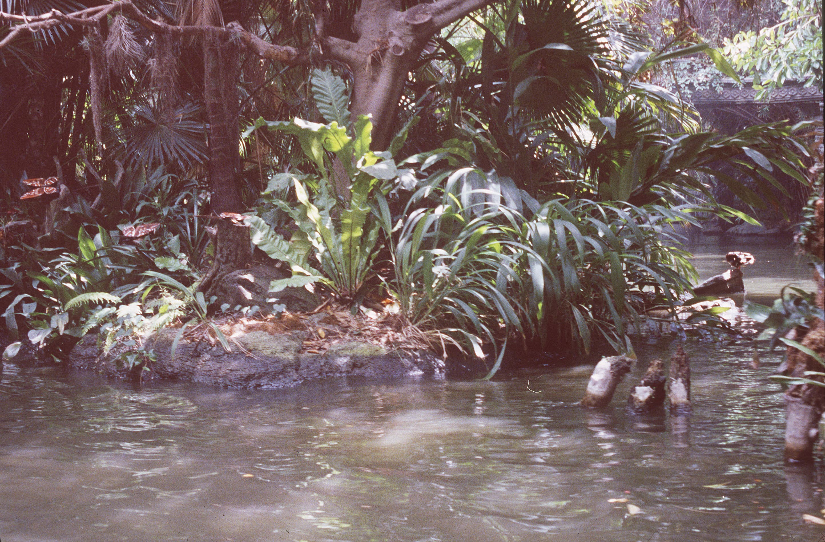 Watching the Apocalypse