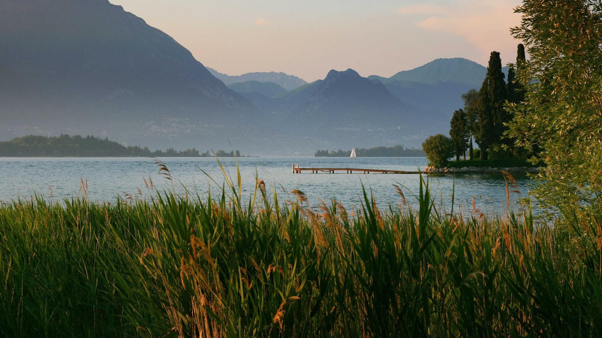 "Nonetheless, TISEA"