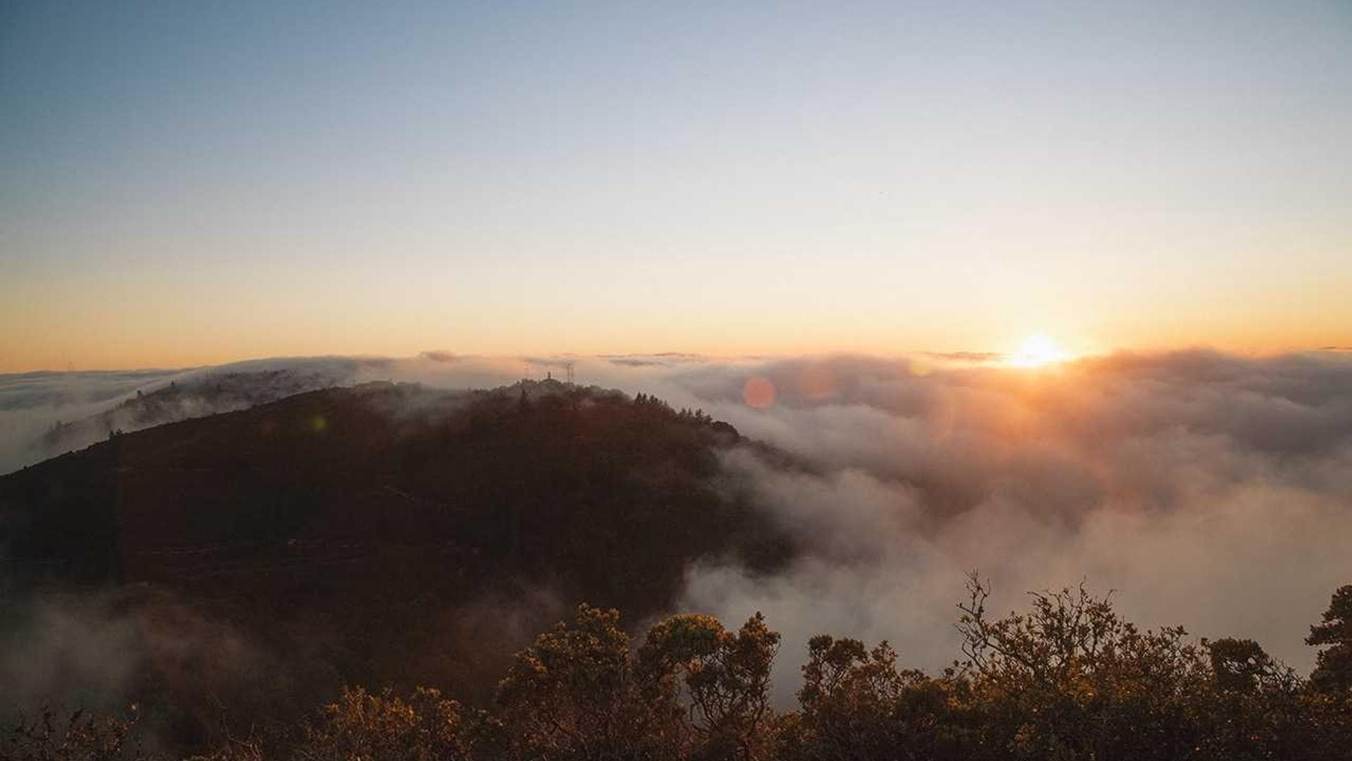 "Piscator Press Print Residency Proposal"